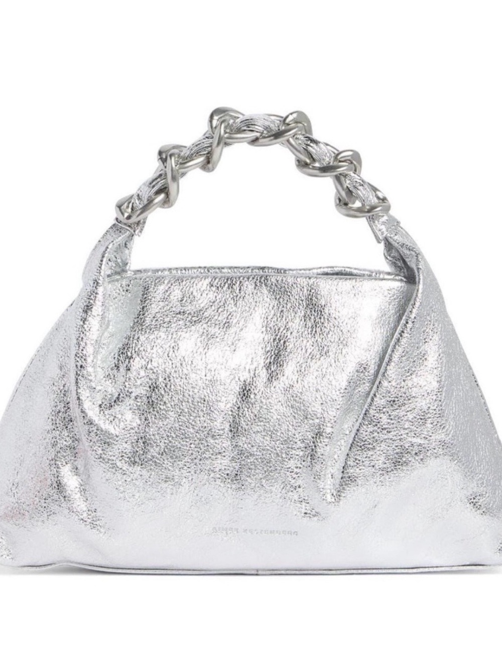 Aimee Kestenburg Silver Purse